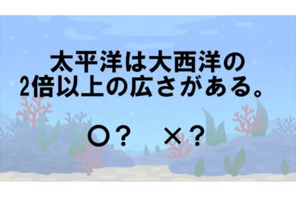 〇×クイズ テーマ：海【〇× vol.23】