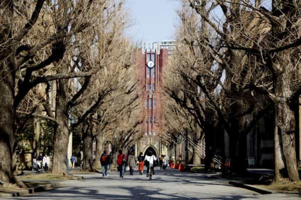 城北エリアで不動産投資！文京区・豊島区・北区・板橋区の特徴を解説