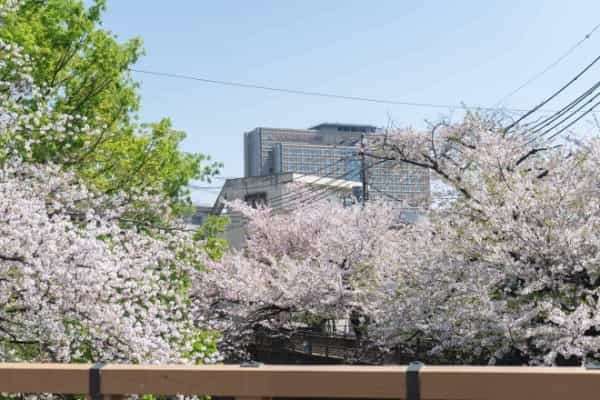 板橋区役所前の住みやすさ発見｜4つの個性派商店街が作る居心地の良さ、都心への短時間アクセスが人気の理由