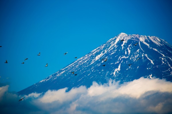 【連載】富士山をきれいに見るならここ！おすすめ絶景スポット4選