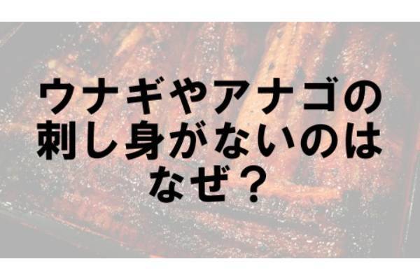 ウナギやアナゴの刺し身がないのはなぜ？【なぜ vol.139】