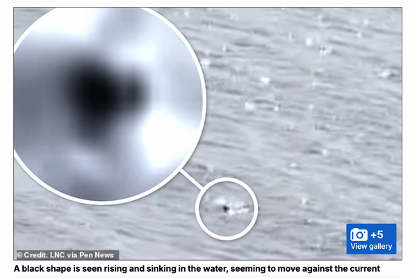 ネッシーの「頭」か！？ 湖から出たり沈んだりする衝撃映像が撮影されるの画像2