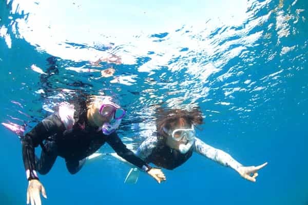 本当に“安全”な遊び？　続けて起こる夏のシュノーケリング事故について考える