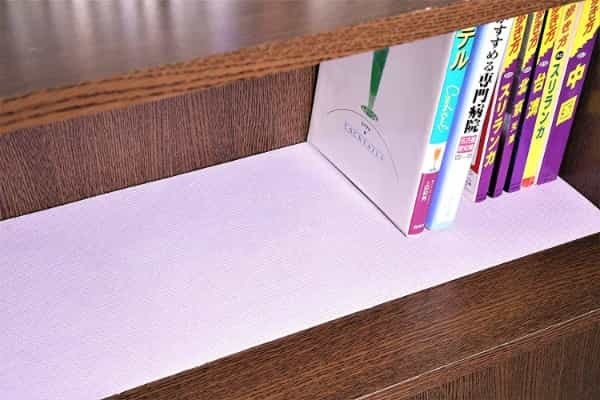 本棚の嫌なカビ対策はこの方法がおすすめ！正しい掃除方法も徹底解説！