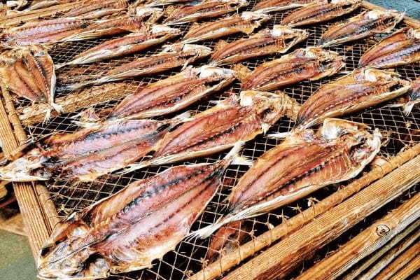 先人の知恵で味わう「郷土の魚料理」26選