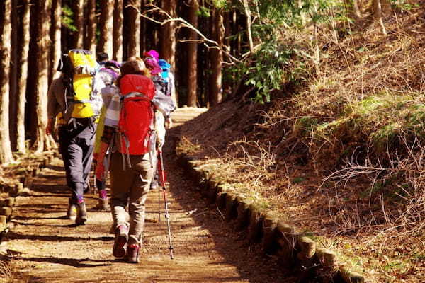 標高が低い山だからこそ楽しめる登山の魅力とは？　低山トレッキングのはじめ方