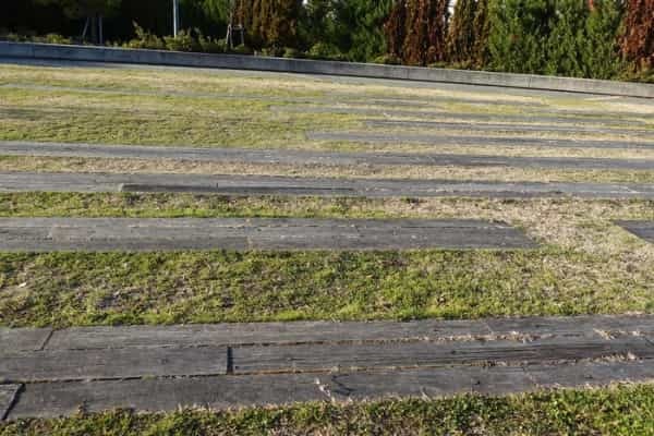 覚えていますか？阪急電車・西宮北口駅のダイヤモンドクロス