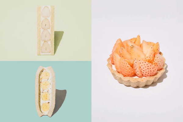 白色フルーツのホワイトデーギフト！ヴィーガンスイーツ専門店「fruits and season」で期間限定発売。