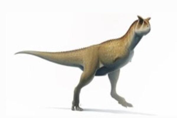腕なし恐竜！？　7000万年前の奇妙な恐竜の新種をアルゼンチンで発見！