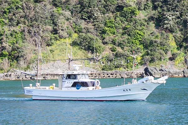 今週の『船釣り情報』特選釣果：落とし込み好スタートで多彩魚種登場