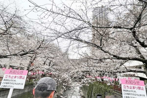 “宴会解禁”の花見、目にした光景に驚き…　客のマナーに「異変」が起きていた