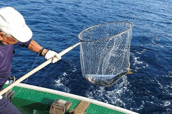 日本各地の海の幸を堪能！泊まってみたい全国の漁師宿14選