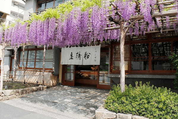 桜シーズン目前！「お花見あんみつ」で心躍る春を迎えませんか。