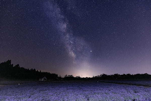 七夕の夜、織姫（織女）と彦星（牽牛）は天の川を渡り年に一度の再会を喜ぶというけれど、どうやって会うの？
