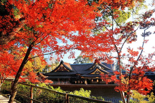 【京都】北野天満宮の見どころガイド～七不思議や周辺スポット紹介も～