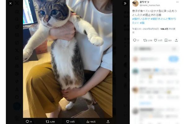 飼い主に行く手を遮られる猫ちゃんの形相が必死すぎる　視線の先にあるものは