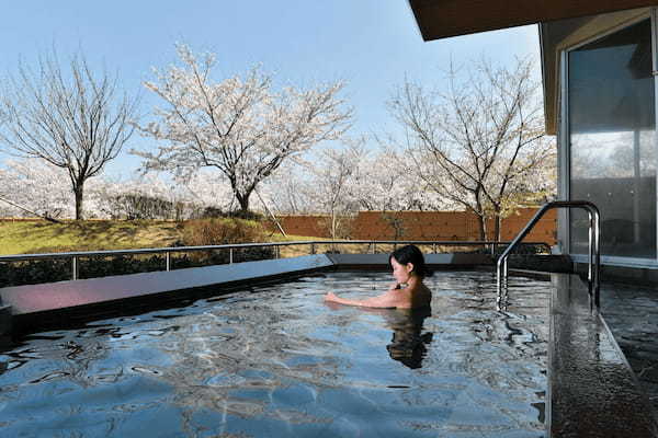 もうすぐ始まる桜のリレー！日本海を望む「休暇村越前三国」の花見