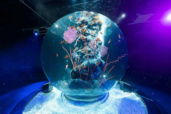 アートとアクアリウムが融合！次世代水族館「アトア」が神戸に誕生