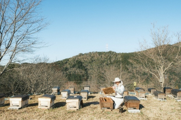 【春を味わう】最短1分で即完売!魅惑のパリとろスイーツ“壺芋ブリュレ”から、野山の花香るはちみつにお塩を効かせた、あま塩っぱい春フレーバー「塩はちみつクリーム」が期間限定で登場