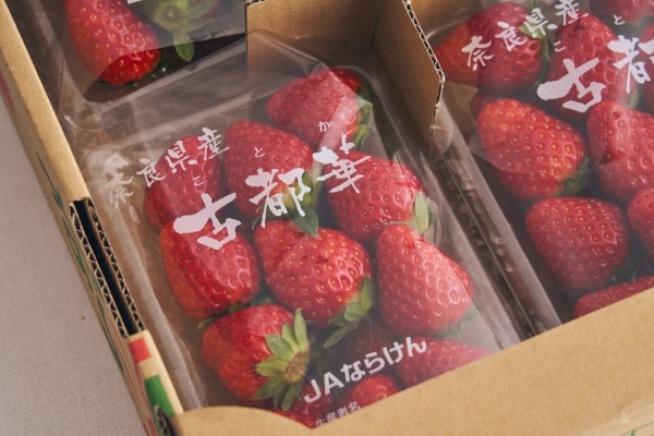 奈良県明日香村より届いたプレミアム高糖度いちご、“古都華（ことか）”。いちごの濃厚な甘さと芳醇な香りを引き立てる、爽やかなクレームダンジュとバルサミコの掛け合わせが新しい、リッチなパンケーキが登場。