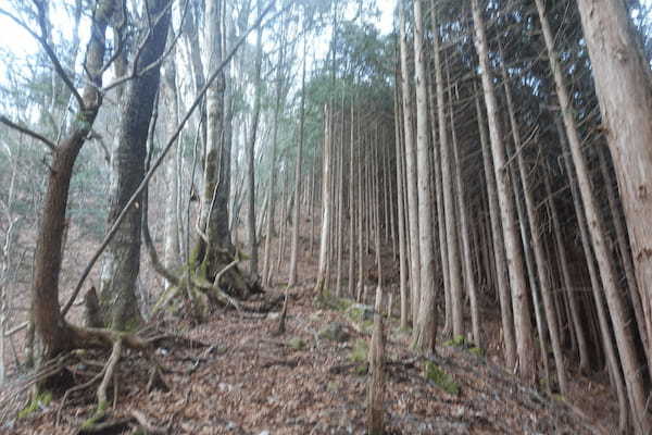 【Vol.93 大峰山】世界遺産を歩く！修験道の聖地「大峰山」を実際にレポート！／バン旅百名山