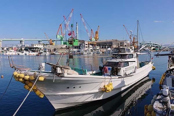 今週の『船釣り情報』特選釣果：落とし込み好スタートで多彩魚種登場