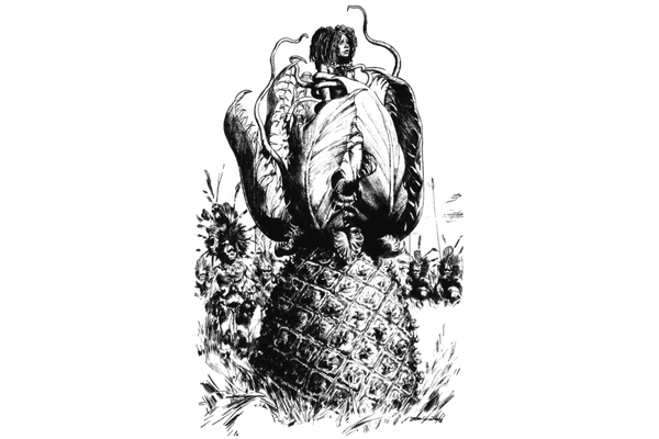 150年続く「人食いの木」伝説。鍵を握る“失われた写真”と、マダガスカルの毒木「クマンガ」が示す真実の画像2