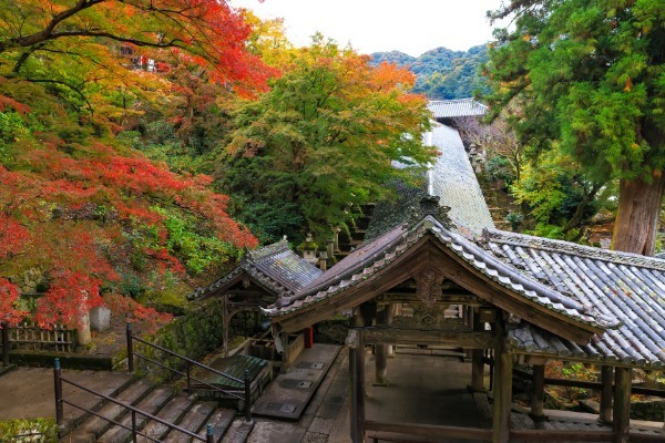 【2022年】紅葉の見頃はいつまで?穴場から定番までおすすめスポット24選