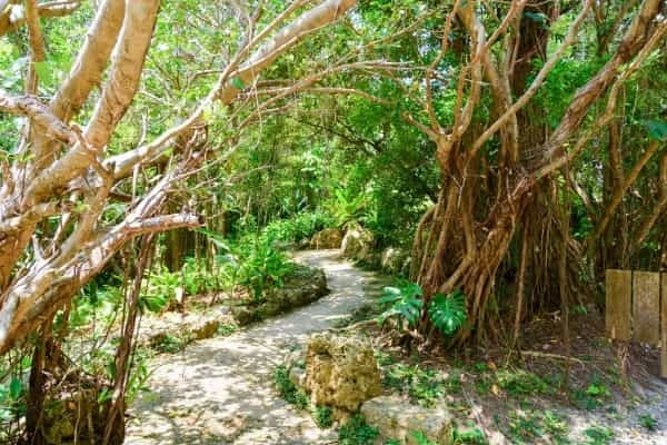 ちょっと意外な沖縄での登山！おすすめの山をご紹介！