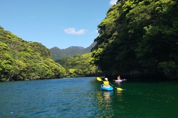 屋久島でカヤック体験しよう！おすすめのツアーや準備するものなど詳しく解説！