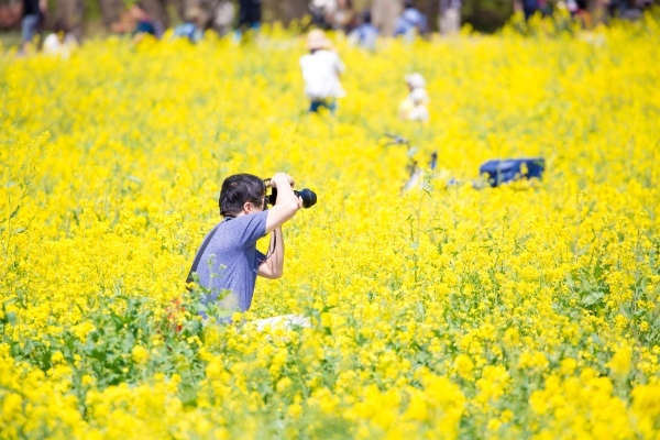 【連載】旅行好きと春を探しに出かけよう！春の時期におすすめ観光スポット4選