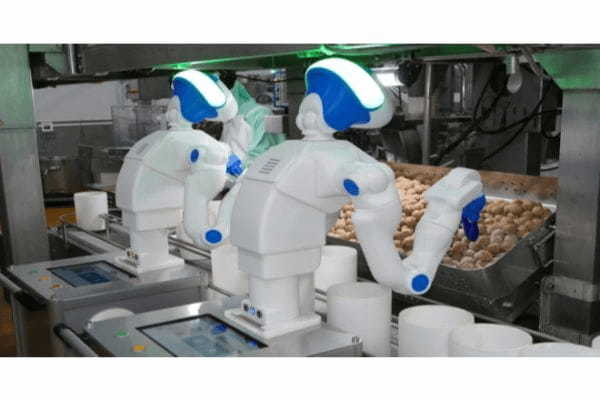 イチビキ、惣菜製造に人型協働ロボットを導入