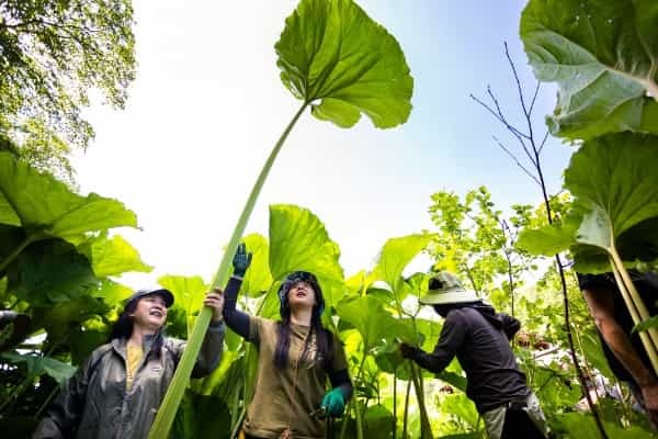 キャンプやトレッキングが楽しめる「UPIオンネトー」が寒摩周国立公園内にオープン