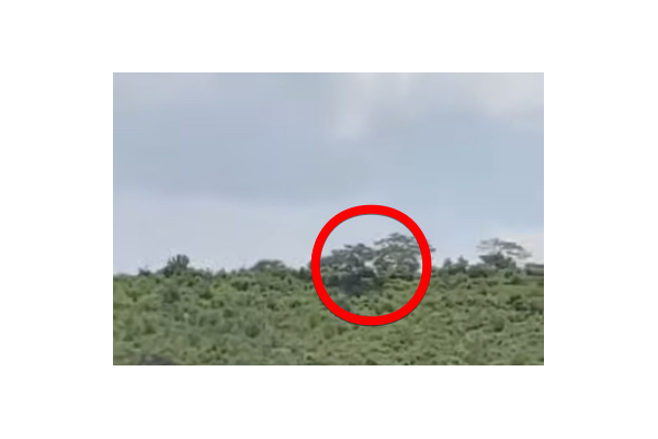 【動画】UFOの聖地で撮影された“謎の光”が不気味すぎると話題に＝メキシコの画像1