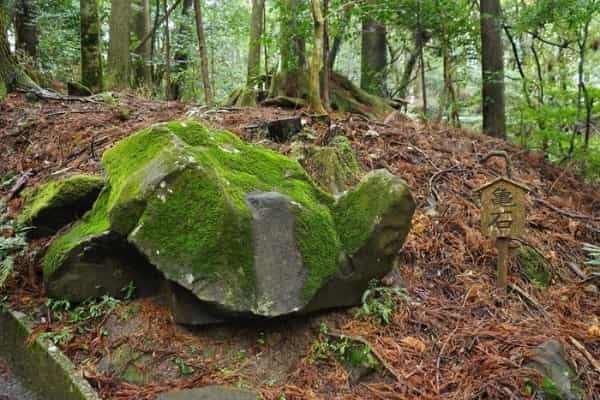 鹿児島の観光地・霧島神宮のパワースポットを調査！ご利益・お守り・見どころを解説