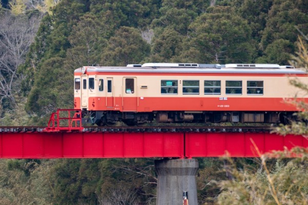 【連載】旅行好きと行く！菜の花の絨毯が広がるローカル線いすみ鉄道の旅