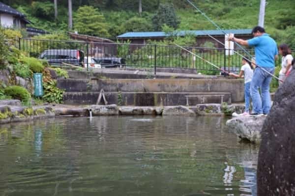 ニジマス釣りの攻略ガイド！初心者でも釣れる仕掛けや釣り方のコツを解説！