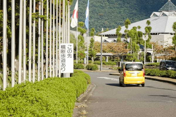 「あなたの“直ちに停止できる速度”って何キロですか?」ドライバーに聞いてみたら見事にバラバラ!これっていいの?