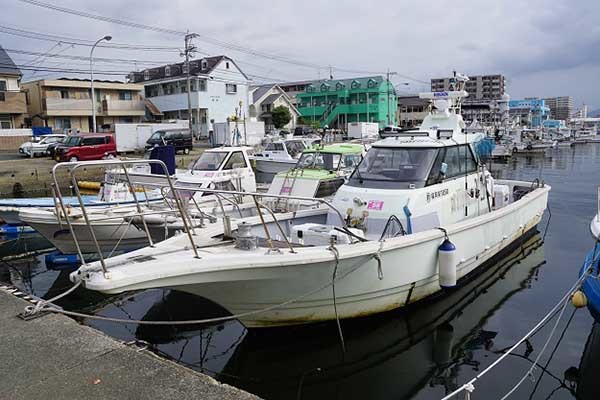 今週の『船釣り情報』特選釣果　【夏タチウオ釣りが各地で開幕】