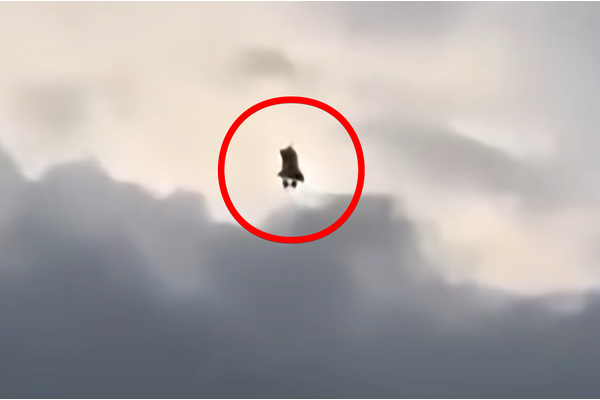 【動画あり】“本物の魔女”が出現！？ 世界中で物議を醸す飛行物体の正体とは＝フランスの画像1