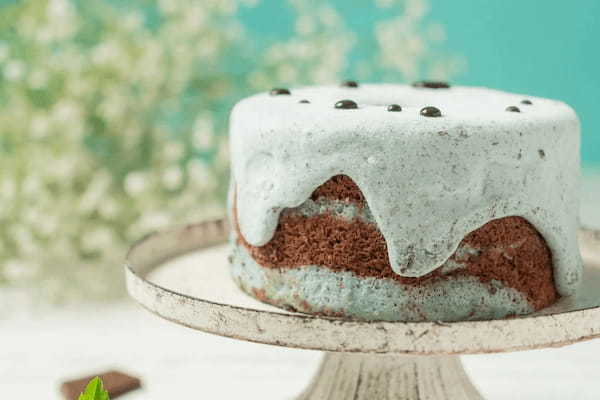 【100台限定】シフォンケーキ専門店 This is CHIFFON CAKE. が「2/19 チョコミントの日」を記念し「チョコミント CHIFFON」を発売！