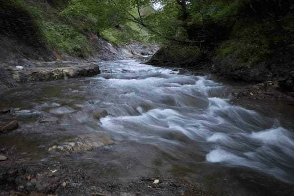 熊鈴は音がうるさい？でも熊よけには効果あります「おとうさんのよも山ばなし」