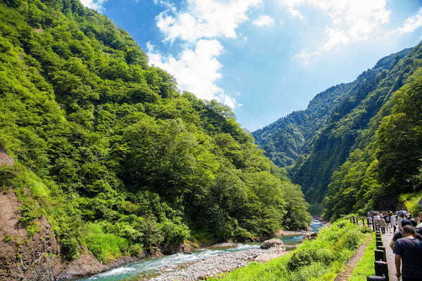 【連載】旅行好きがおすすめする夏の新潟旅行モデルコース