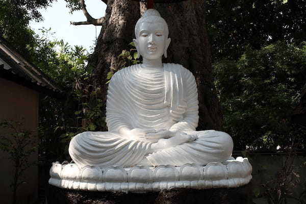 ホトケノザとはどんな花?その名前の由来や花言葉は?春の七草とは別物なのでご注意を!