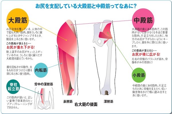 横に広がったお尻を引き上げたいなら「サイドヒップレイズ」！