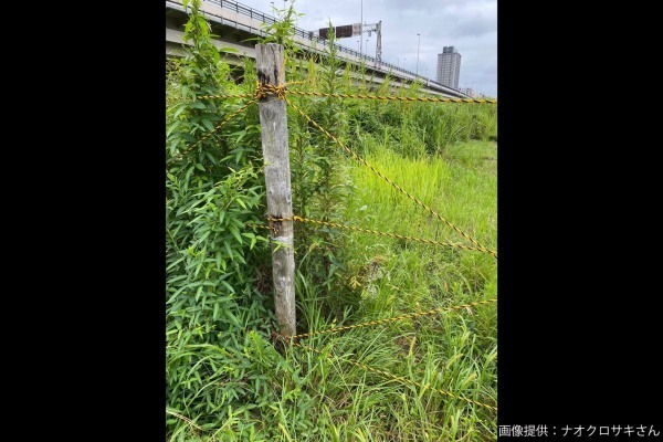 河川敷で遭遇した差別、酷すぎる内容に目を疑う…　突如現れた「5文字」に怒りの声