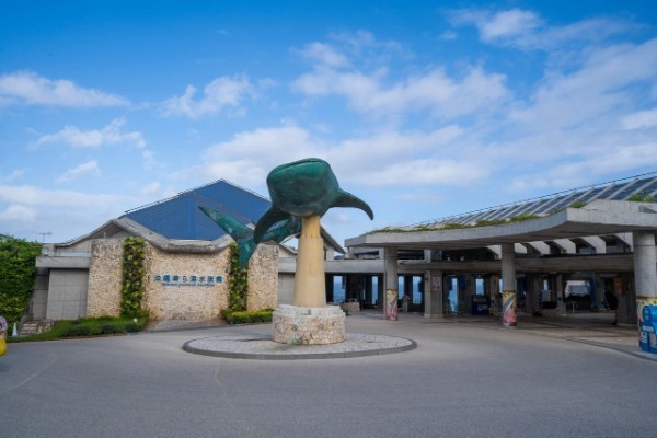 【連載】沖縄の水族館「美ら海水族館」「かりゆし水族館」どちらがおすすめ？