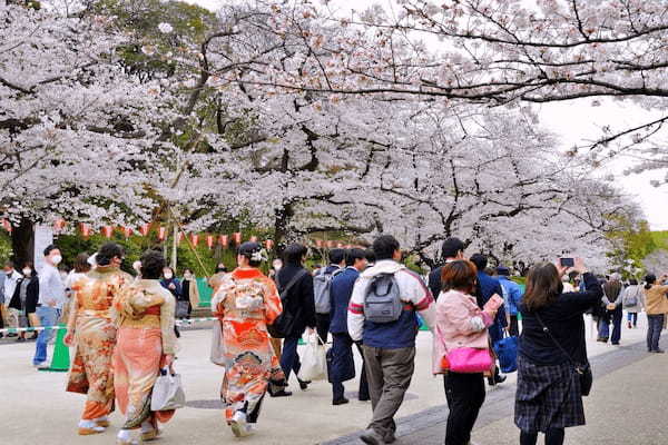 「桜を見るのがそんなに楽しいかい?」外国人が驚く日本の花見事情5選