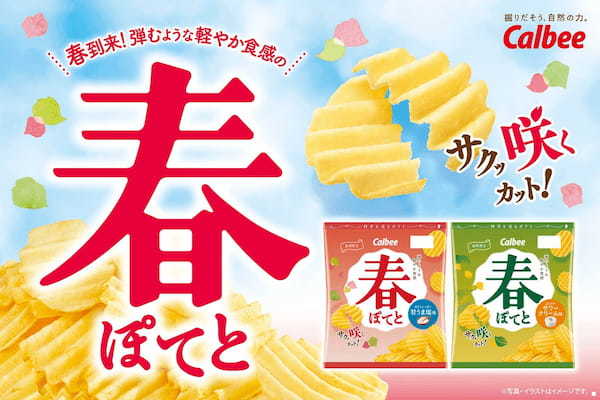 北海道産ジャガイモを使った春のポテトチップスが今年も！弾むような軽やかな食感が楽しめる『春ぽてと 甘うま塩味/ふんわりサワークリーム味』