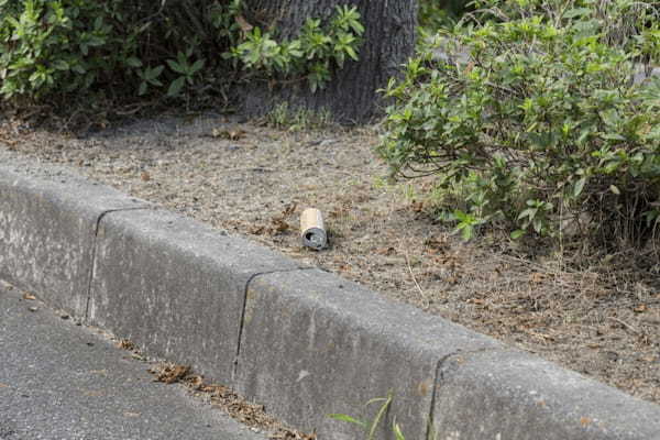 「これがあるから道が狭い」雑草茂りゴミ溢れる道路脇の植え込み…税金で管理される“道路植栽”いる?いらない?